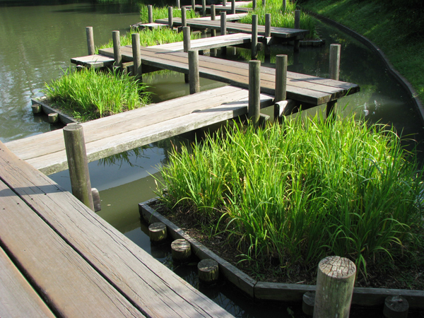 Zig-zag plank bridge around lake, with corresponding timber planting butts.